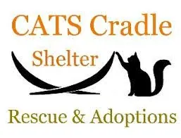 cats cradle logo