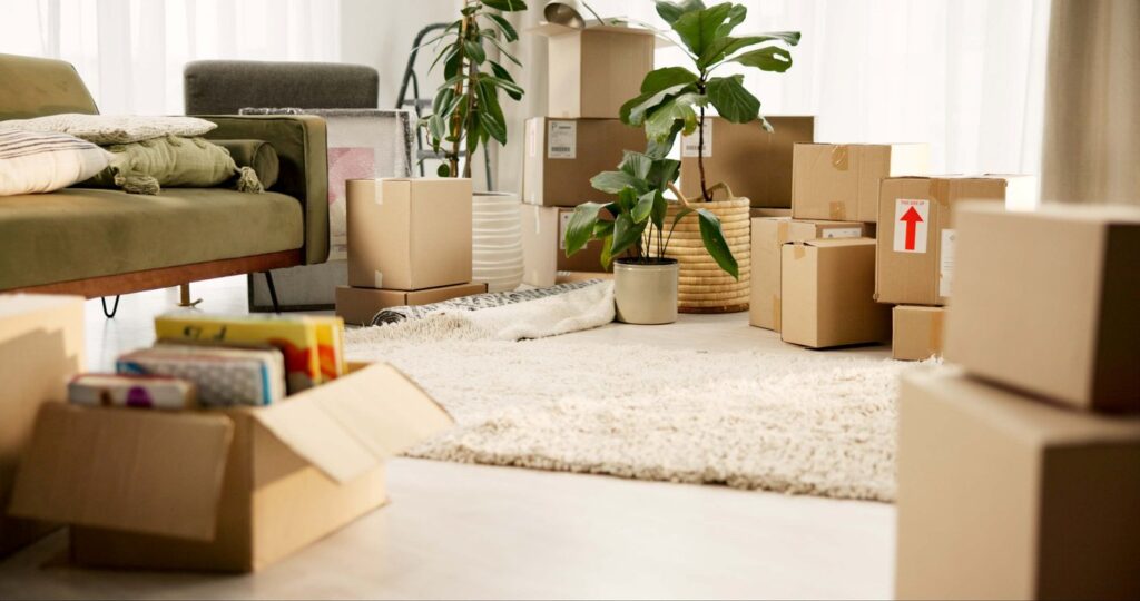 A living room filled with packed moving boxes, houseplants, and furniture.